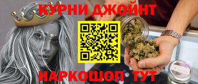 стаф Кингисепп