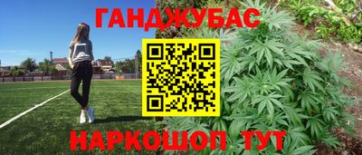 стаф Кингисепп