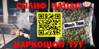 стаф Кингисепп