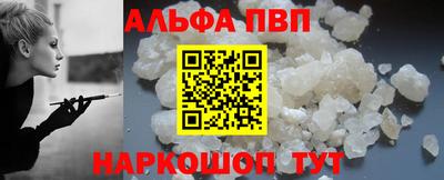 стаф Кингисепп