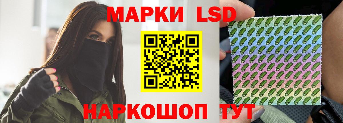 APVP Киселёвск