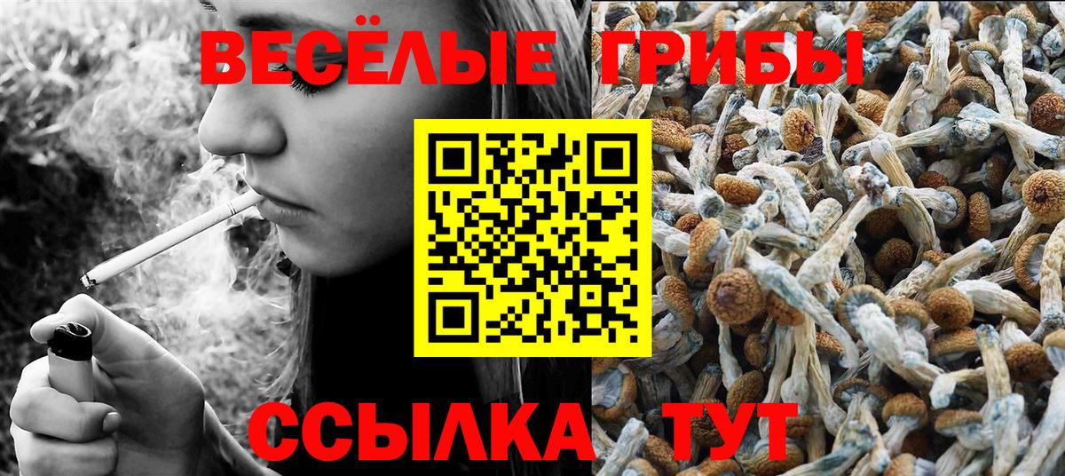 Киселёвск  Псилоцибиновые грибы прущие грибы  Галлюциногенные грибы GOLDEN TEACHER  Вход с VPN 